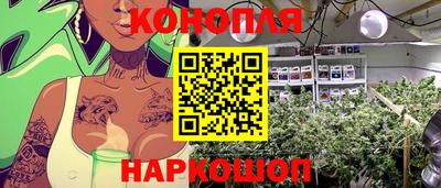 скорость Пугачёв